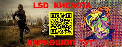индика Кандалакша